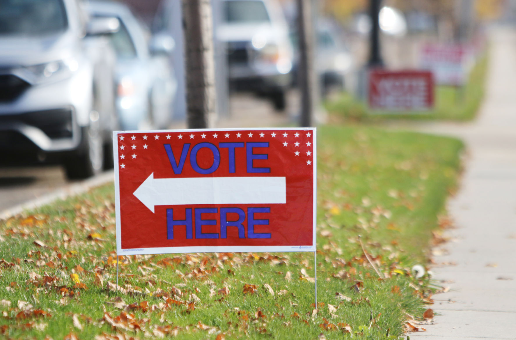 Election Day voting (copy)